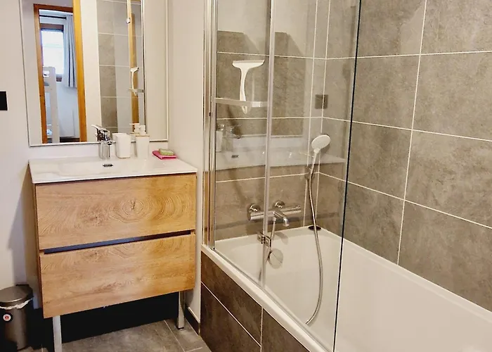 公寓 Superbe A Plagne Montalbert, Proche Des Pistes Avec Wifi Et Parking - Fr-1-755-18 拉普拉涅